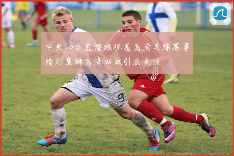 中央13台直播线观看高清足球赛事精彩集锦高清回放引发关注